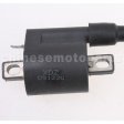 Ignition Coil for 2 Stroke 50cc Engine