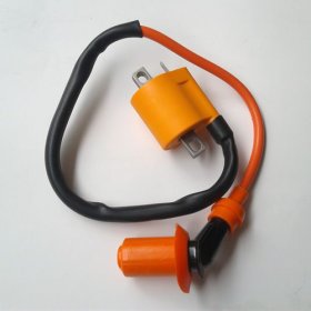 Ignition Coil for 125cc-250cc Engine