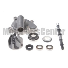 Water Pump Assy for CF250cc Engine