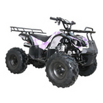 Coolster ATV-3125XR-8 Parts
