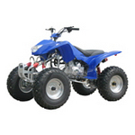 Coolster ATV-3250A Parts