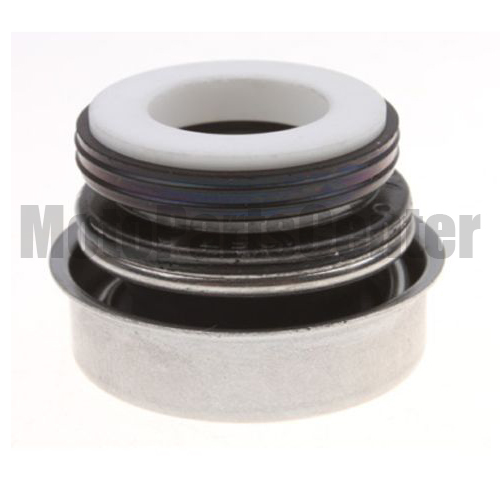 Water Seal Assy for CF250cc Engine - Click Image to Close
